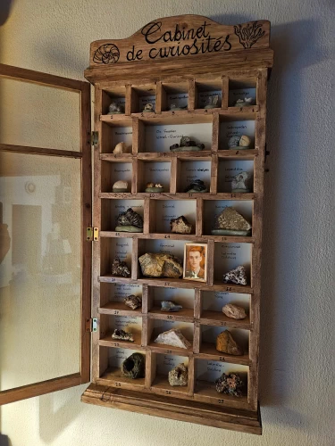 Houten vitrinekastje met vakken voor fossielen en stenen